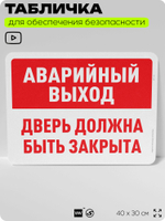 Табличка для обеспечения безопасности "Аварийный выход, дверь должна быть закрыта", для офиса, по охране труда для предприятия, организаций, 40х30 см, Silver Plane x Айдентика Технолоджи