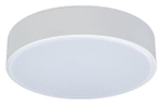 Накладной светильник Loft it Axel 1 10002/12 White
