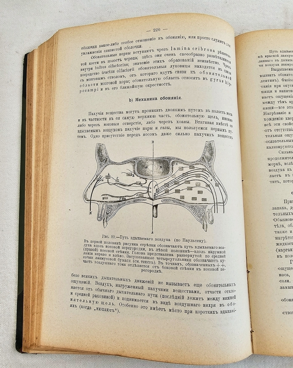 "Руководство по физиологии человека для врачей. Том 1". Профессор Н.Цунтц и профессор А.Леви. 1910 г.