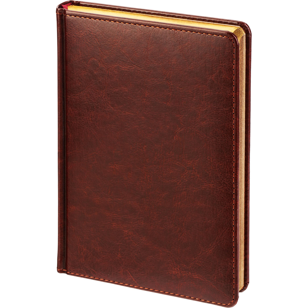 Ежедневник датированный 2026 А5+ SIDNEY NEBRASKA кор, зол обрез 3-125/03