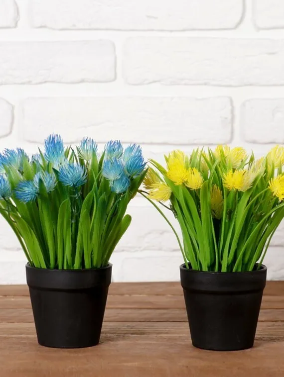 Бонсай в горшке &quot;Эхмея с травой&quot; 9*19 см, микс