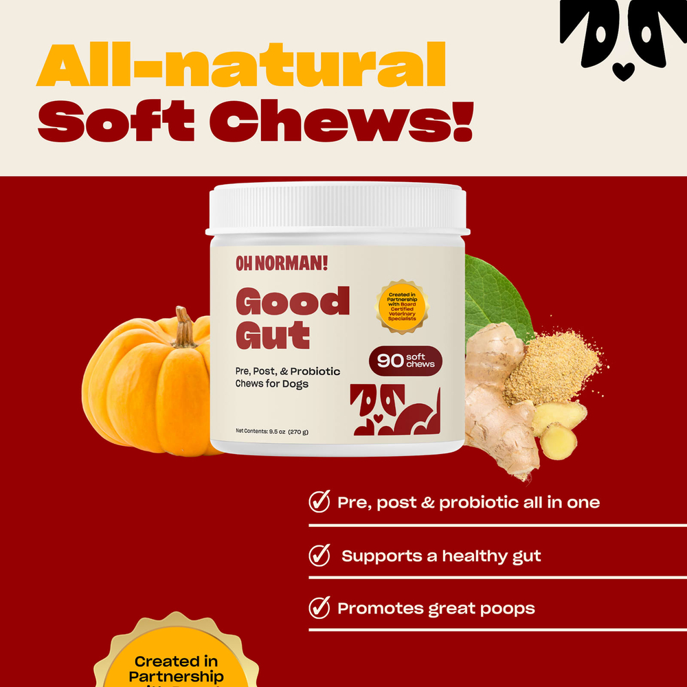 Oh Norman, Good Gut, жевательные таблетки с пробиотиком для собак, до и после еды, 90 мягких жевательных таблеток, 270 г (9,5 унции)