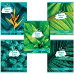 Тетрадь А5, 48 л., BRAUBERG, клетка, обложка картон, GREEN NATURE, 403033, 5шт