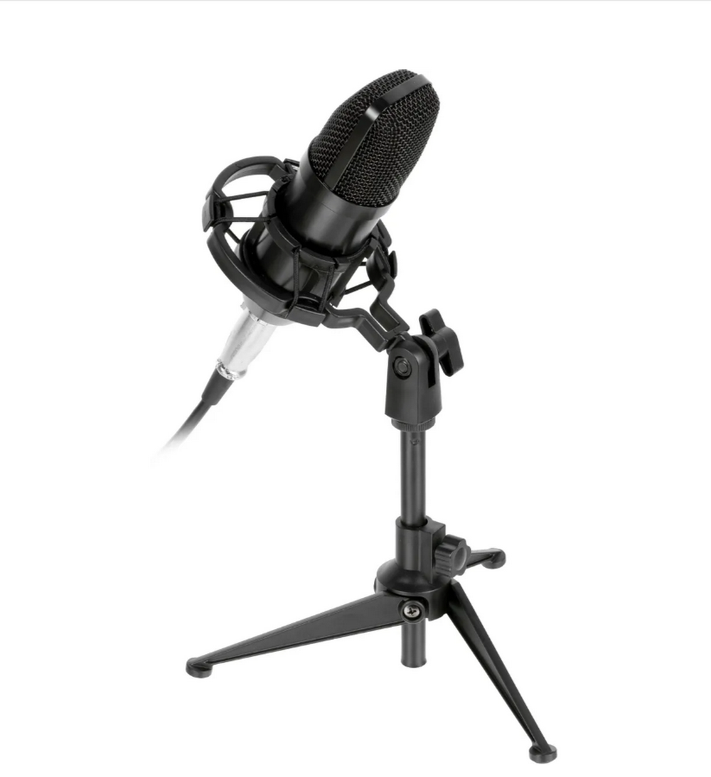 Микрофон Ritmix RDM-160 +USB адаптер