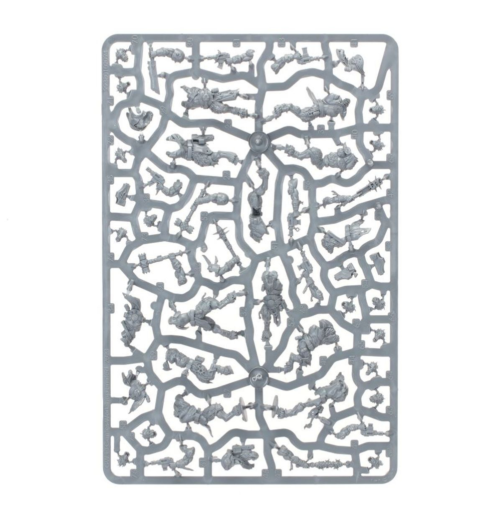 Kill Team: Fellgor Ravagers