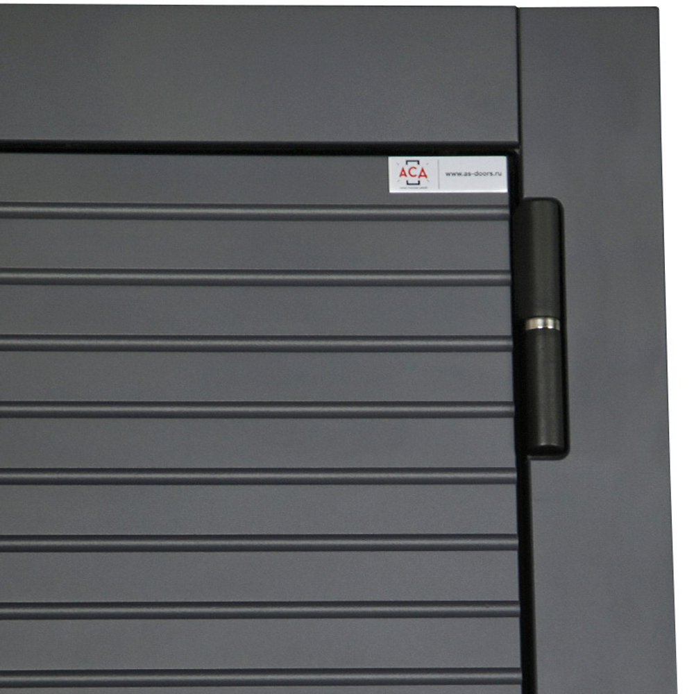 Стальная дверь "Авангард" с зеркалом (биометрический замок)