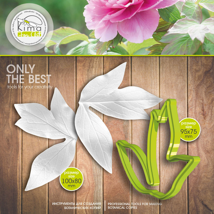 Пион древовидный лист