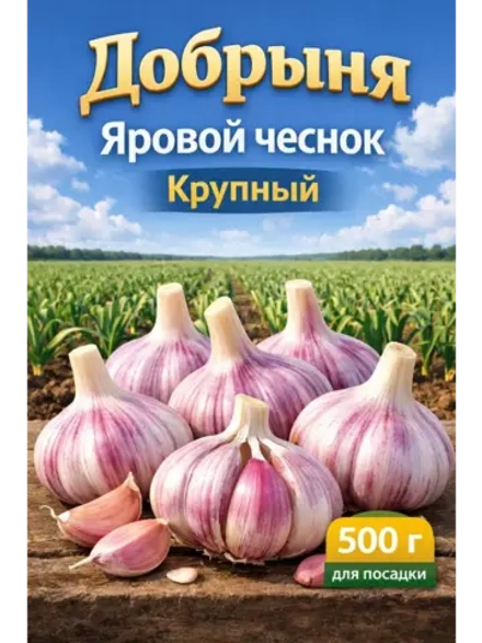 Чеснок яровой Добрыня