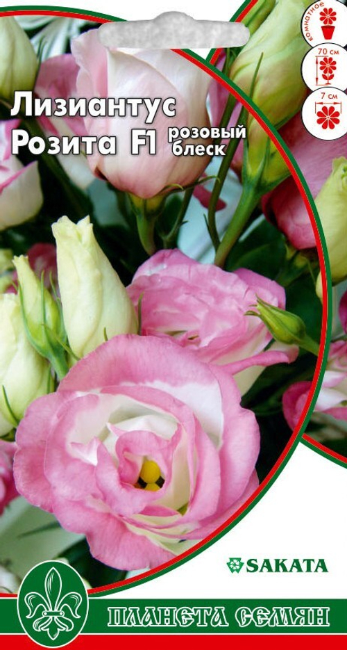 Лизиантус (эустома) Розита розовый блеск