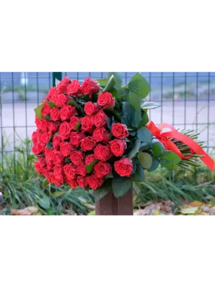 Роза "Эль Торо"