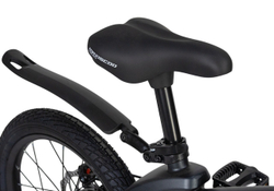 Maxiscoo COSMIC Стандарт 16'' (2025)
