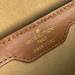 Louis Vuitton Papillon Trunk