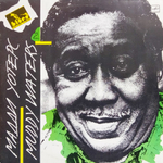 Muddy Waters / Мадди Уотерс (LP)