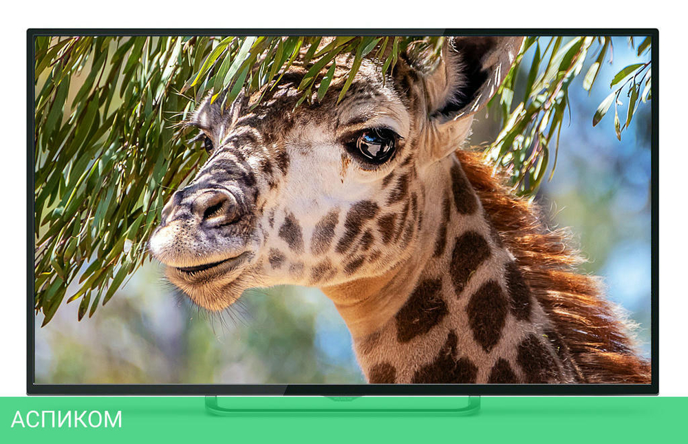 Телевизор LED PolarLine 55" 55PU11TC-SM