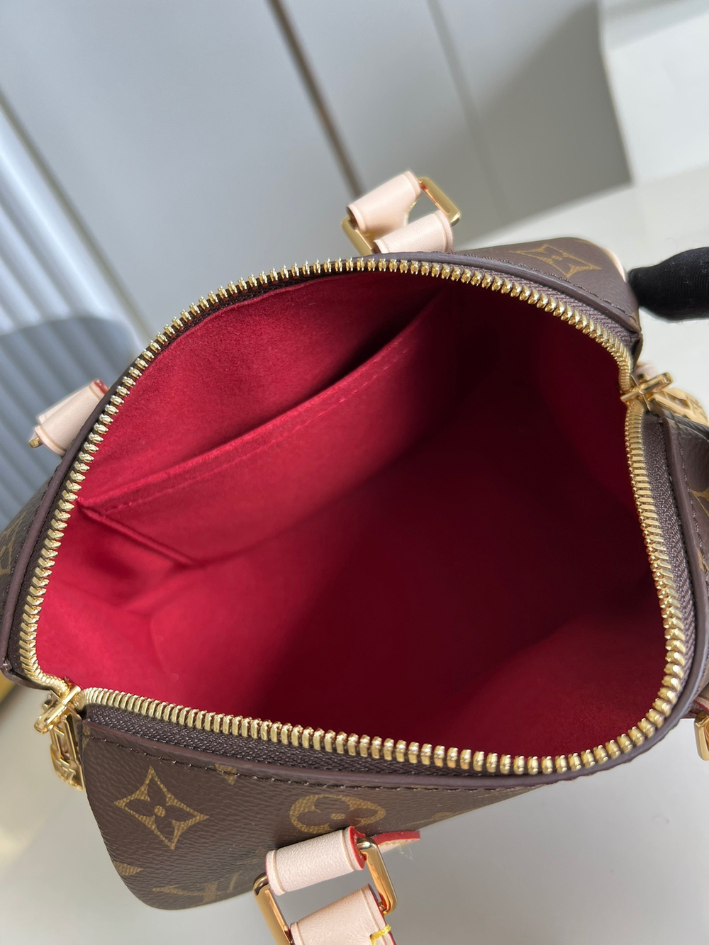 Louis Vuitton Speedy 20
