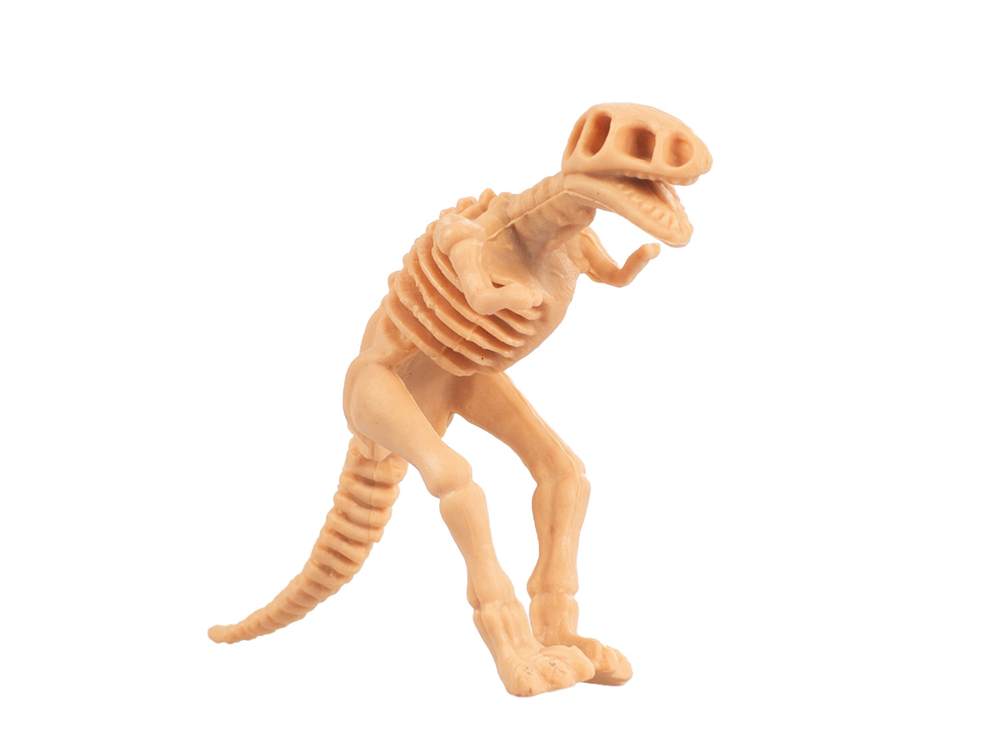 Раскопки Большой набор Юного палеонтолога 5 динозавров