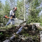 Триммер бензиновый Husqvarna 545FX 2-х тактный 3 л.с., захват 420 мм, 9660156-01
