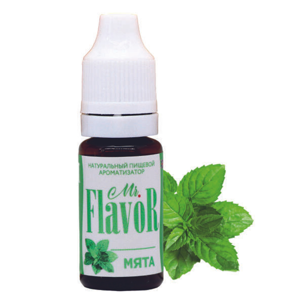 Ароматизатор МЯТА Mr.Flavor (10мл)