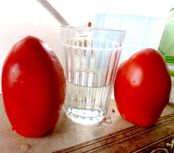 Помидоры - Amos Coli - Амос Коли