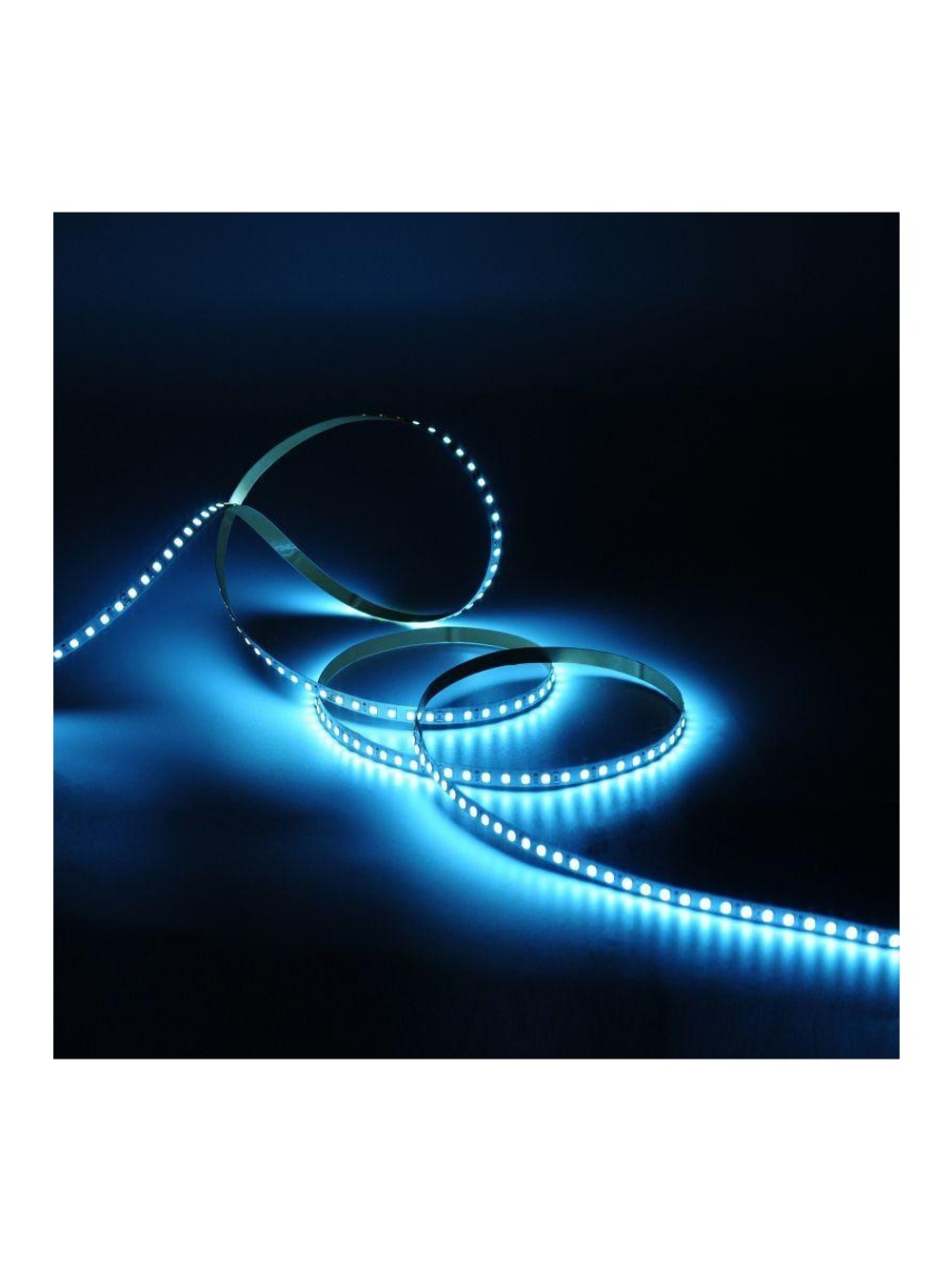 Лента светодиодная Black 2835/120-SMD 6.5Вт/м 5000К холод. бел. IP20 600лм/м 24В (блист.5м) GAUSS 312000265
