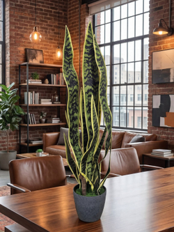 Щучий хвост зеленый в кашпо