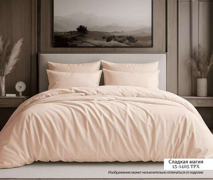 КПБ Евро с простыней на рез. 160х200 САТИН "С9"