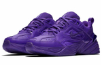 Кроссовки Nike M2K