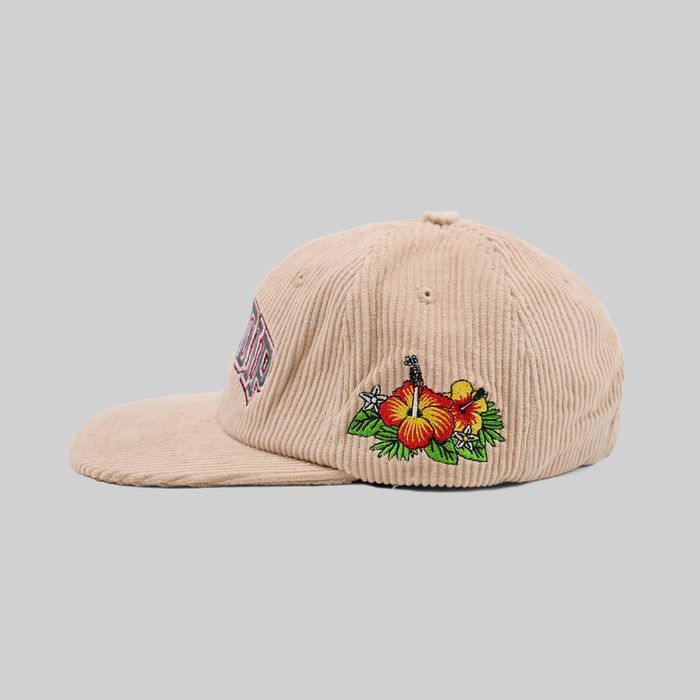 Кепка Ripndip Summer Friends 6 Panel Corduroy Snapback артикул:RND10131 - купить в магазине Дайс