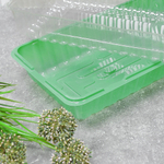 Парник для рассады 3 места, 44*22*6,5см (ВЗ*300, ДЗ*150)