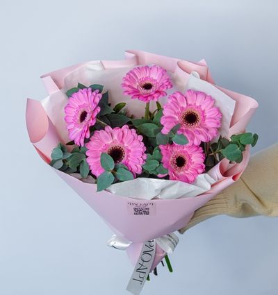 Гербера мини "S"