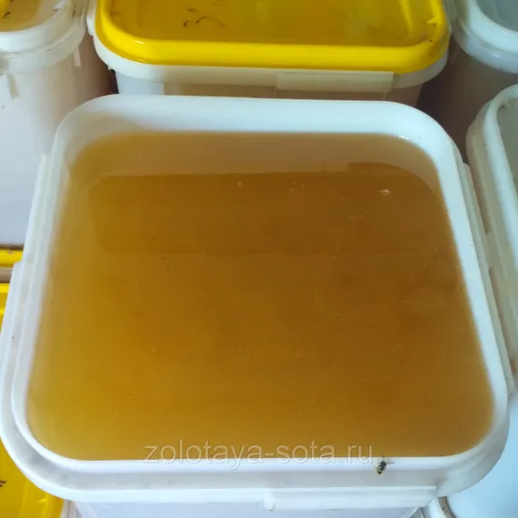 Мед Донниковый 1 кг