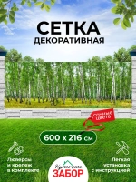 Фотосетка на забор пейзаж Березовая роща 6х2,16 м