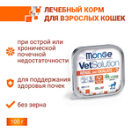 Диетический корм Monge VetSolution Cat Renal and Oxalate Ренал и Оксалат для кошек при ХПН и профилактике образования оксалатов 100 г