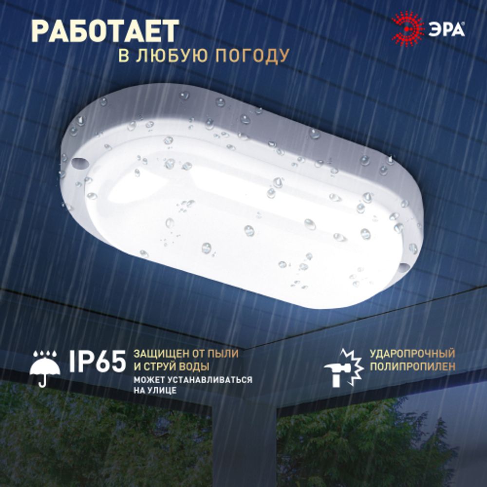 Светильник ЖКХ светодиодный ЭРА SPB-202-0-65K-008 IP65 8Вт 6500К 160x90 овал | Светильники для ЖКХ IP65