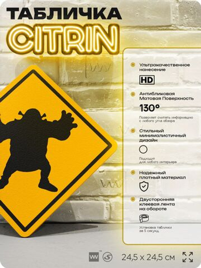 Табличка мем "Шрек" шуточная прикольная табличка на дверь и стену, для офиса и дома, декоративный знак, 24,5х24,5 см, пластиковая, Айдентика Технолоджи