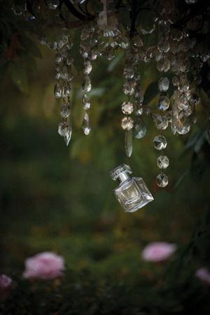 Friedemodin Jardin Mystique