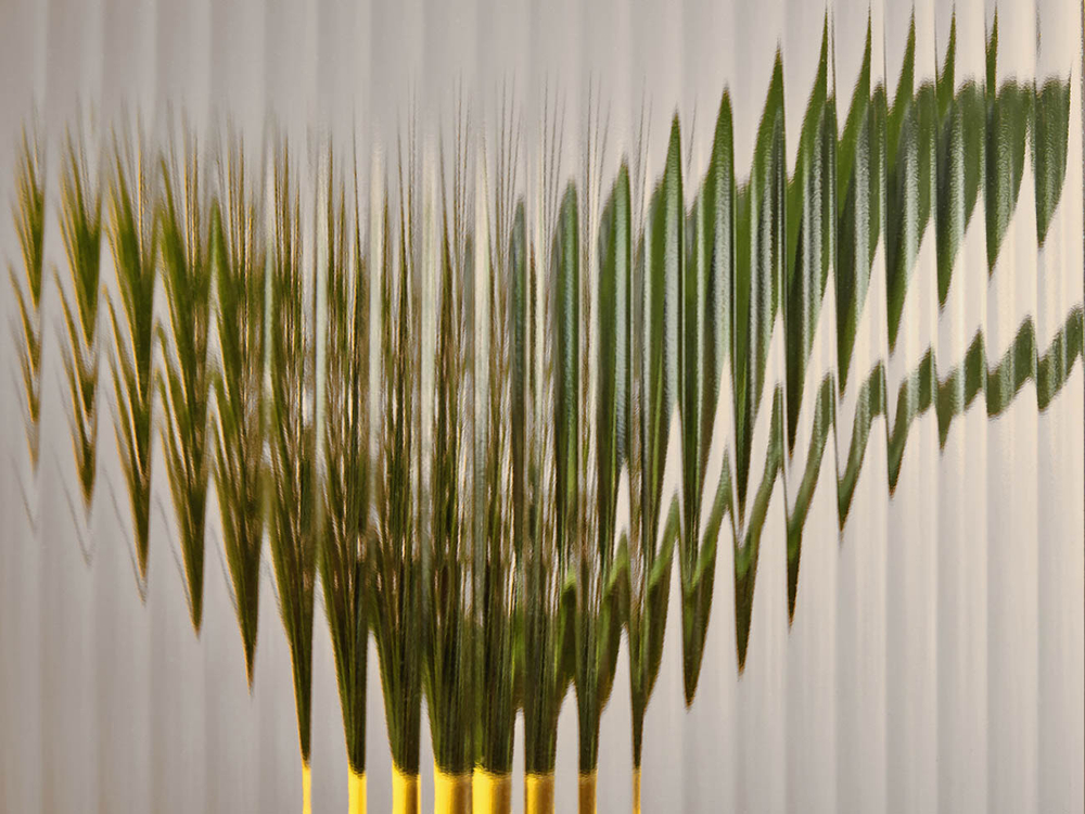 Дизайнерские обои Wall Street Frame-2019