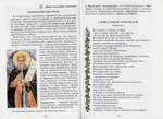 Православная культура. Учебное пособие, 6-й год обучения. Л. Л. Шевченко