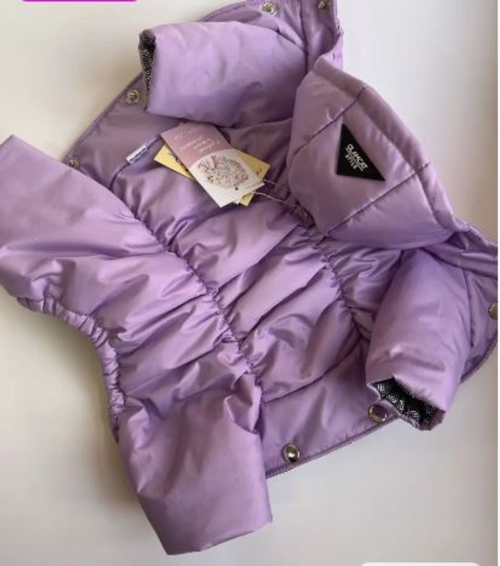 Зимний комбинезон для собак с капюшоном (девочка)