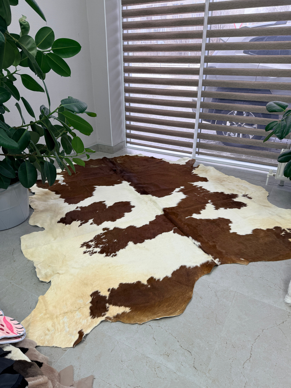 Коровья шкура на пол натуральная. 200 х 190 см