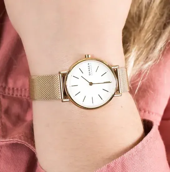 Женские часы Skagen SKW2693