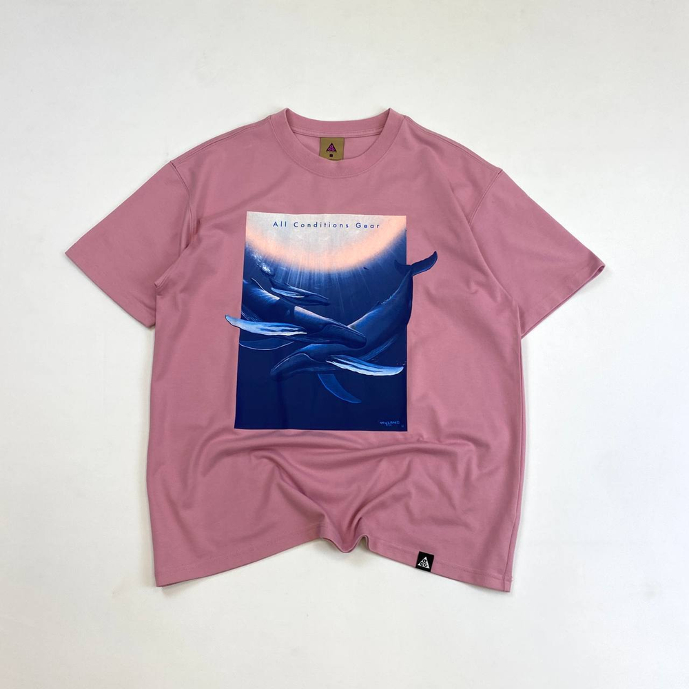 Футболка Nike ACG