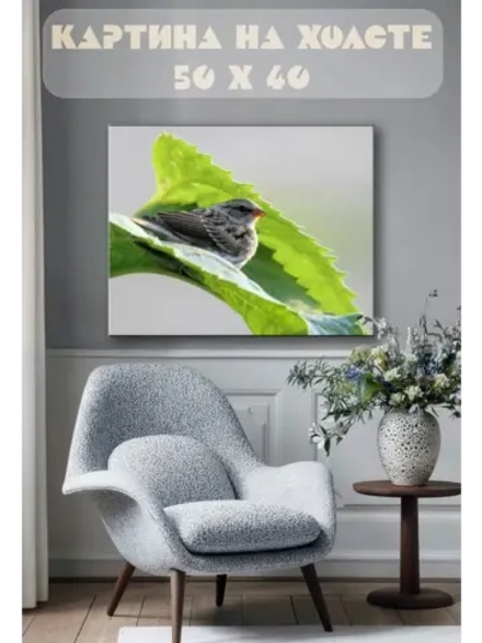 Картина на стену 40 X 50 Птица