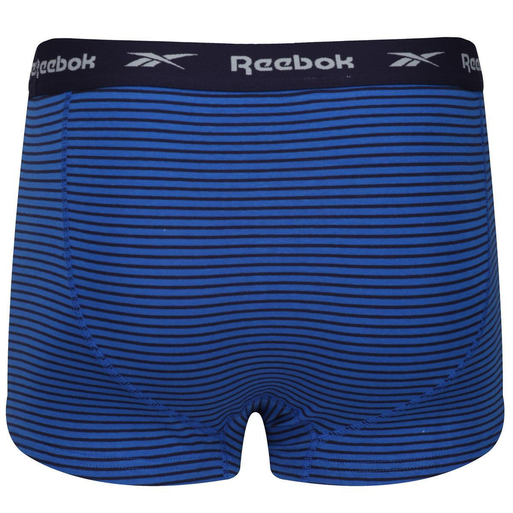 Мужские спортивные боксеры Reebok Mens Trunk EDRIK 3P - grey/purple/blue stripe