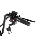 ЭЛЕКТРОСКУТЕР CITYCOCO GT X5 TRIKE 1500W 15AH 48V Карбон