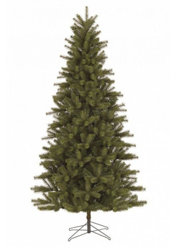 Ель 260 см Black Box Очарование Голландия фото