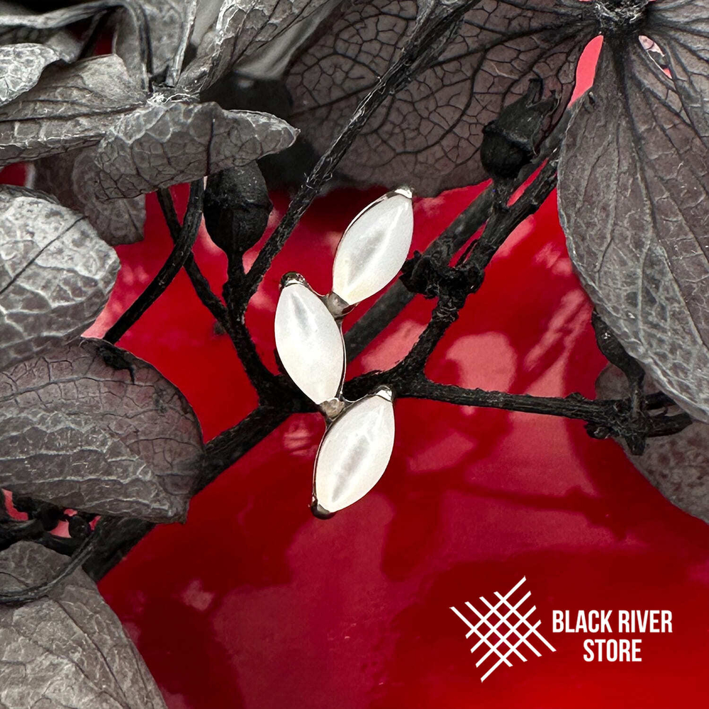 Leaflet v.2 White Shell