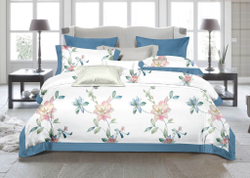 Постельное белье 2 спальное евро Asabella 1956-6