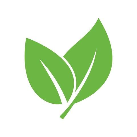 Гортензия метельчатая КЕНДИ ЛАВ (Hydrangea paniculata 