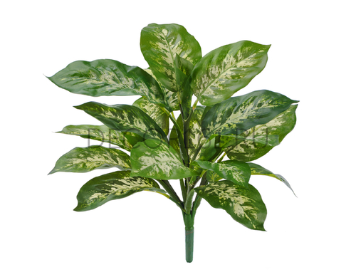 Диффенбахия бело-зелёная куст в-40 см (Sensitive Botanic) 12/120 20.1440GW